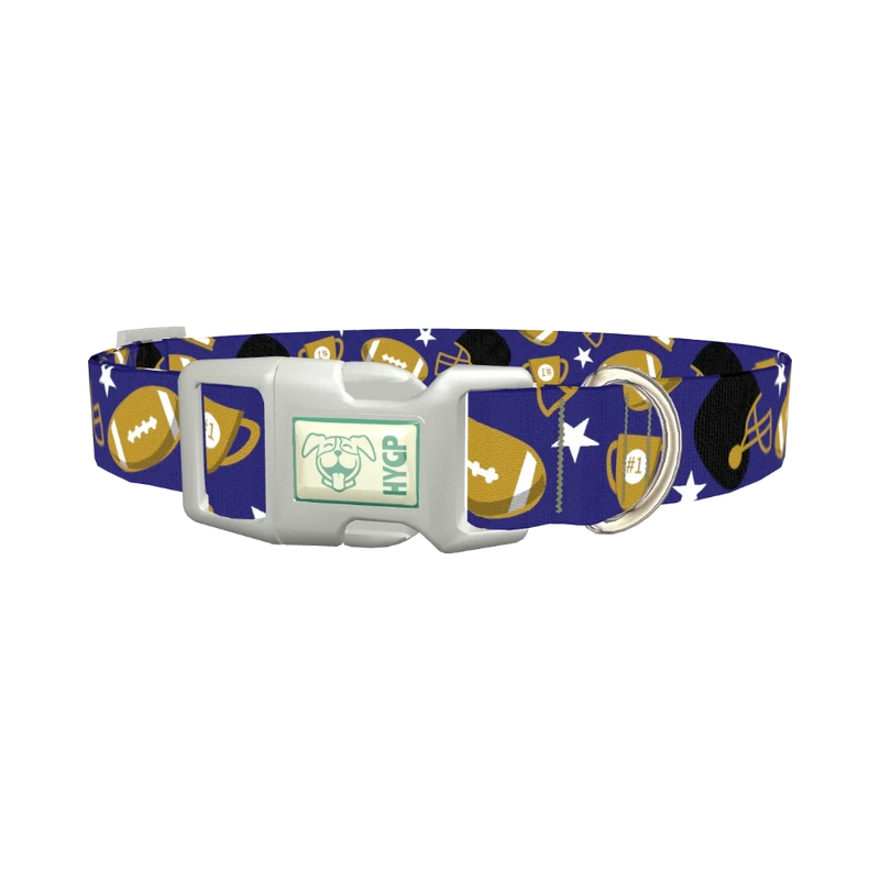Purple Football Trophy Dog Collar - plastic silver