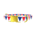 Patriotic Stars and Stripes Dog Collar - metal gold