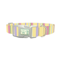 Pastel Stripe Dog Collar - plastic silver