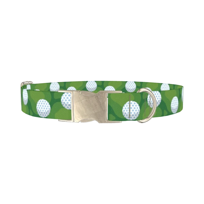 Golf Course Dog Collar - metal silver