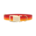 Retro Hexagon Dog Collar - plastic silver