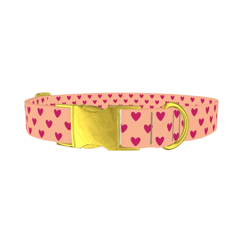 Heart Pattern Dog Collar - metal gold