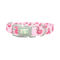 Pink Flamingo Dog Collar - plastic silver