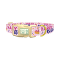 Birthday Cake Celebration Dog Collar - plastic gold