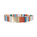 Multicolor Hexagon Stripe Dog Collar - metal silver