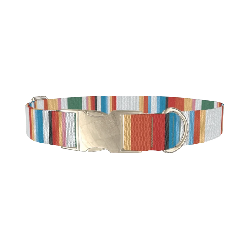 Multicolor Hexagon Stripe Dog Collar - metal silver