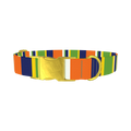 Striped Dog Collar - metal gold