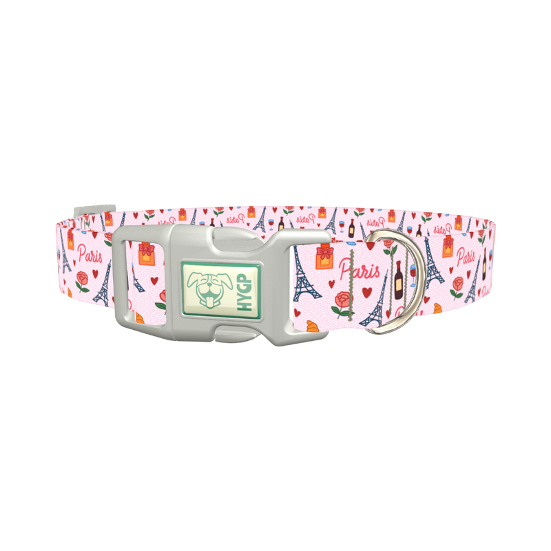 Parisian Romance Dog Collar - plastic silver