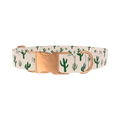 Desert Sun Cactus Dog Collar - metal silver
