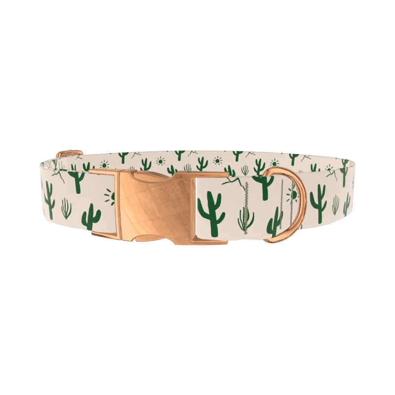 Desert Sun Cactus Dog Collar - metal silver