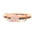 Colorful Stripe Hexagon Dog Collar - plastic gold