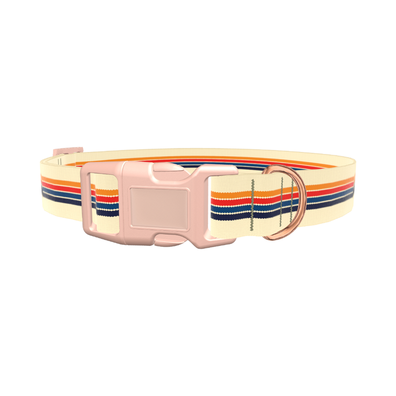 Colorful Stripe Hexagon Dog Collar - plastic gold