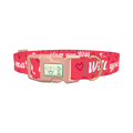 Heart Phrase Dog Collar - plastic rose gold