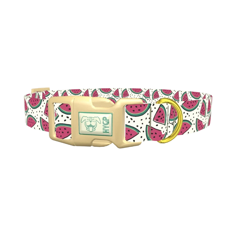 Watermelon Fruit Dog Collar - plastic gold