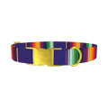 Colorful Stripes Dog Collar - metal gold