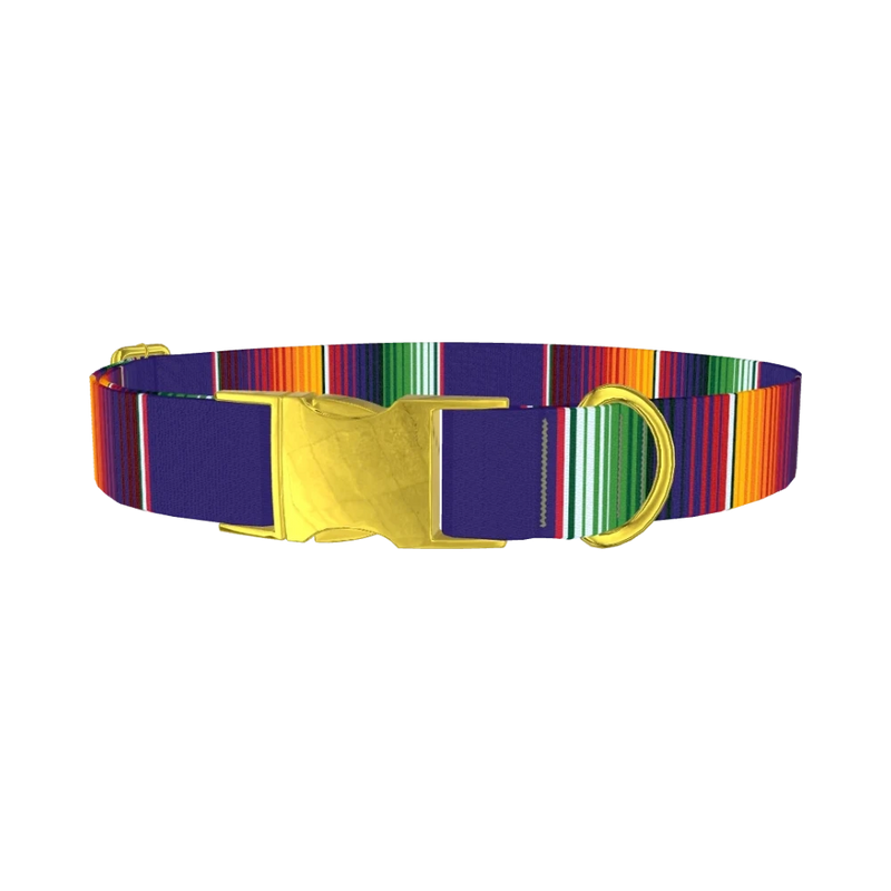 Colorful Stripes Dog Collar - metal gold