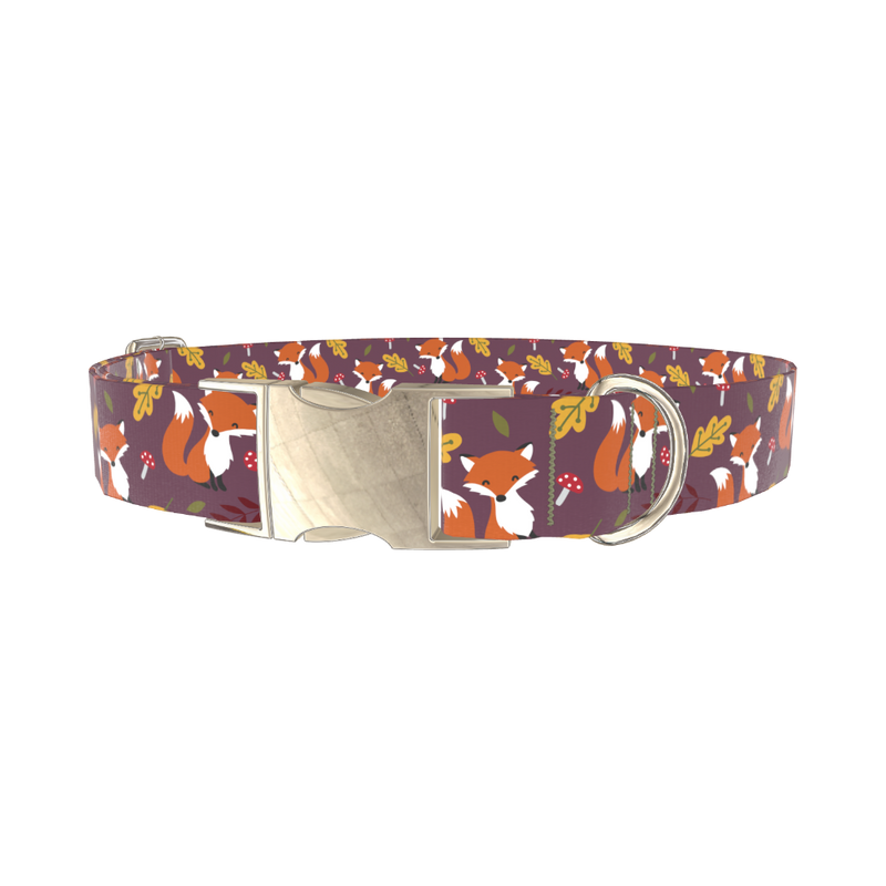 Autumn Fox Dog Collar - metal silver