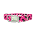 Halloween Coffins Dog Collar - plastic silver