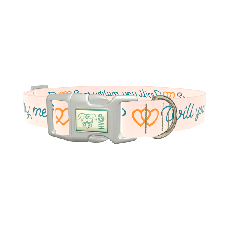Phrase Heart Dog Collar - plastic rose gold