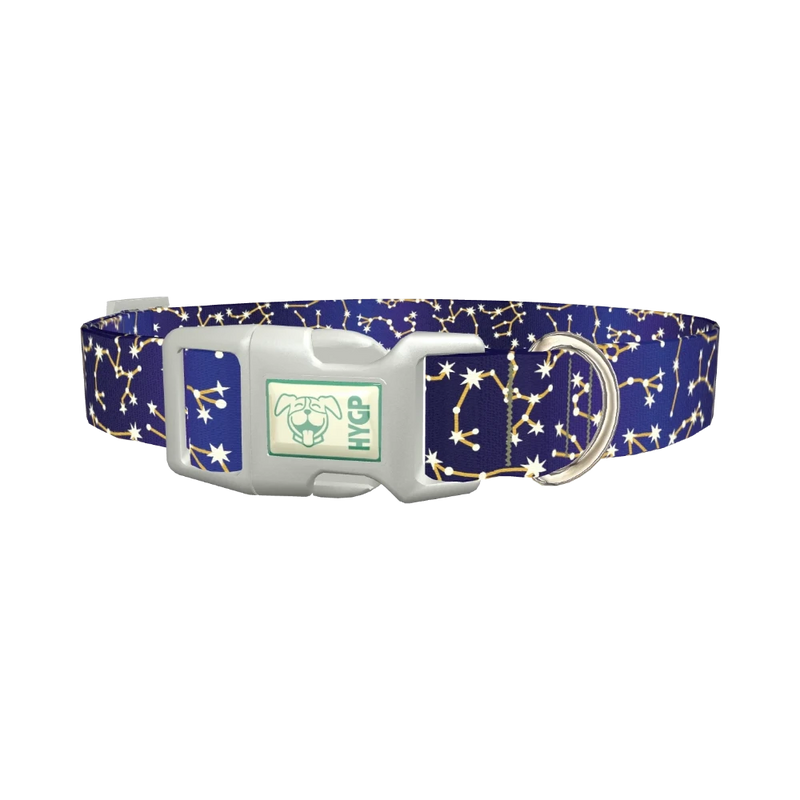 Halloween Witchy Dog Collar - plastic silver