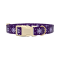 Mystical Sun Eye Dog Collar - plastic rose gold