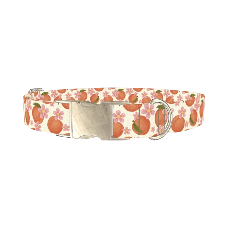 Peach Floral Dog Collar - metal silver