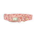 Chamomile Floral Dog Collar - plastic rose gold