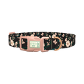 Rosehip Butterfly Dog Collar - plastic rose gold