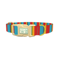 Red Turquoise Stripe Dog Collar - plastic gold
