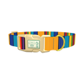 Vibrant Stripe Dog Collar - plastic gold