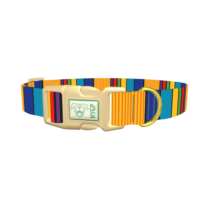 Vibrant Stripe Dog Collar - plastic gold