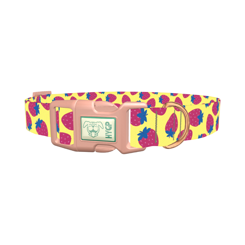 Strawberry Fruit Dog Collar - plastic rose gold