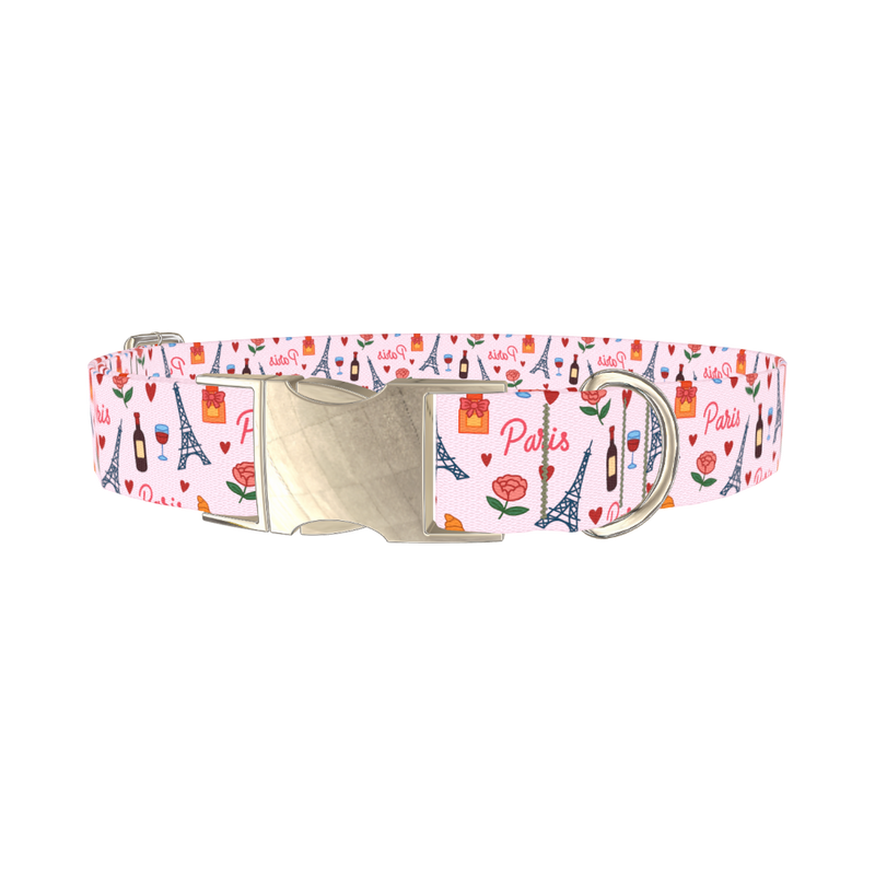 Parisian Romance Dog Collar - metal silver