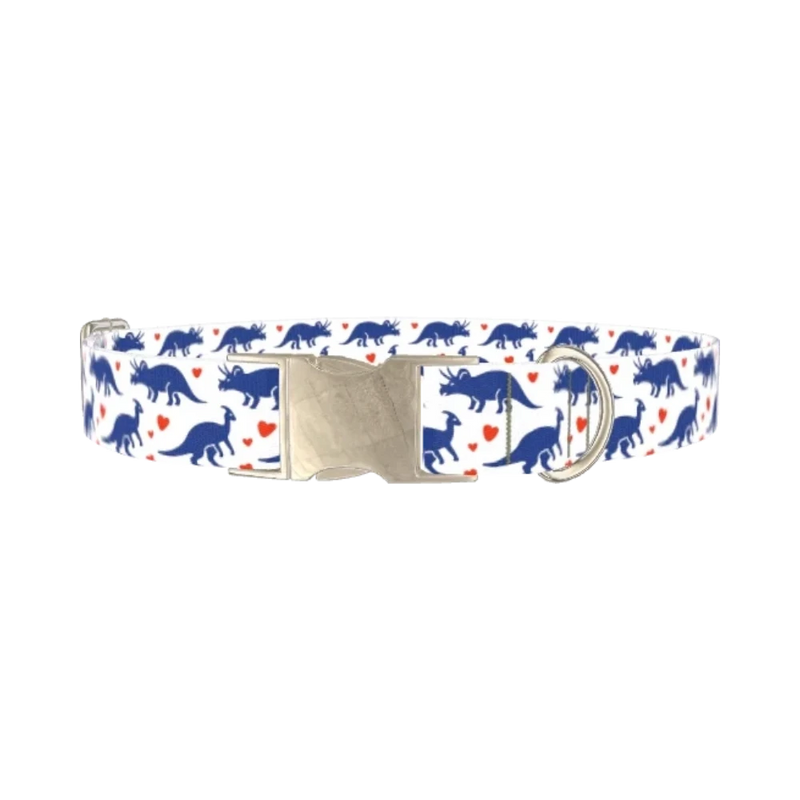 Dinosaur Heart Dog Collar - metal silver