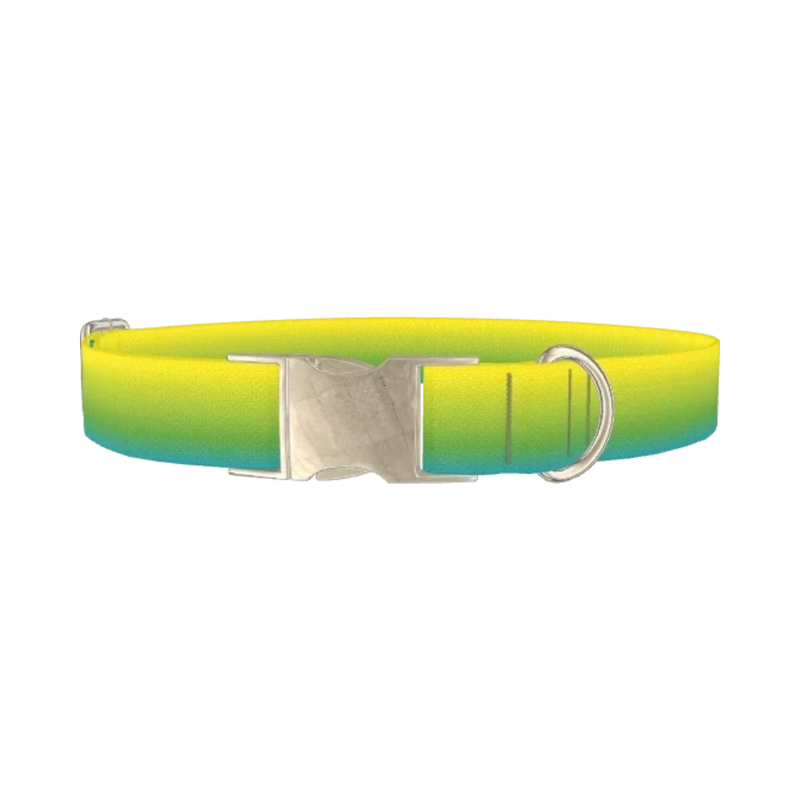 Gradient Dog Collar - metal silver