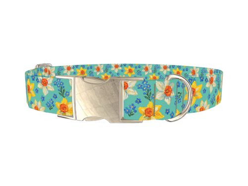 Floral Narcissus Dog Collar