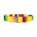 Yellow Mexican Stripe Dog Collar - metal rose gold