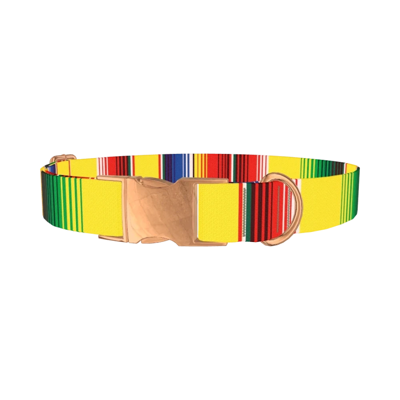 Yellow Mexican Stripe Dog Collar - metal rose gold