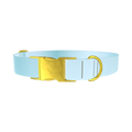 Blue Gradient Dog Collar - metal gold