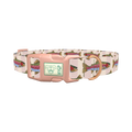 Rainbow Trout Fish Dog Collar - plastic rose gold