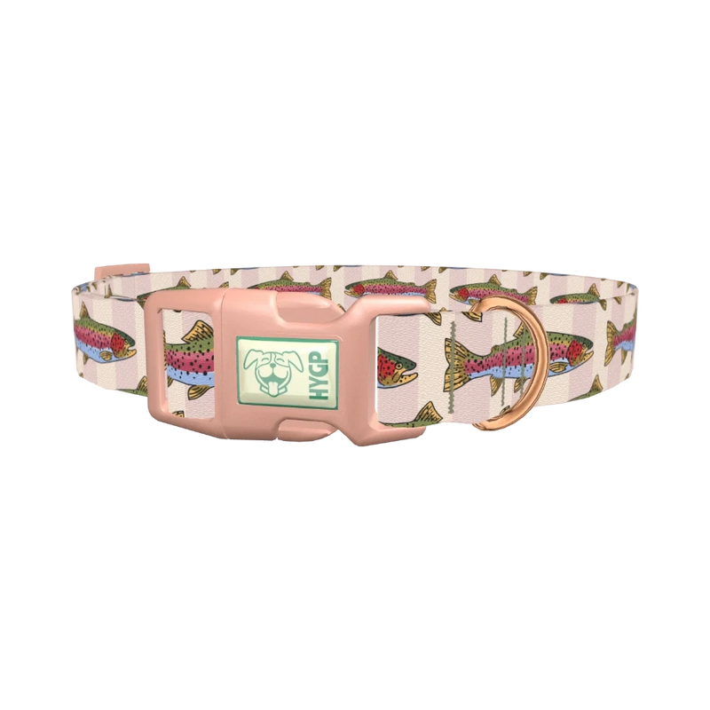 Rainbow Trout Fish Dog Collar - plastic rose gold