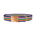 Rainbow Stripes Dog Collar - metal rose gold