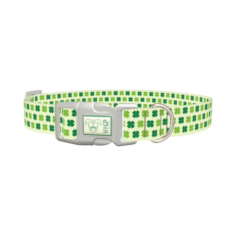 Four Leaf Clover Dog Collar - plastic silver