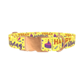 Birthday Cake Dog Collar - metal rose gold