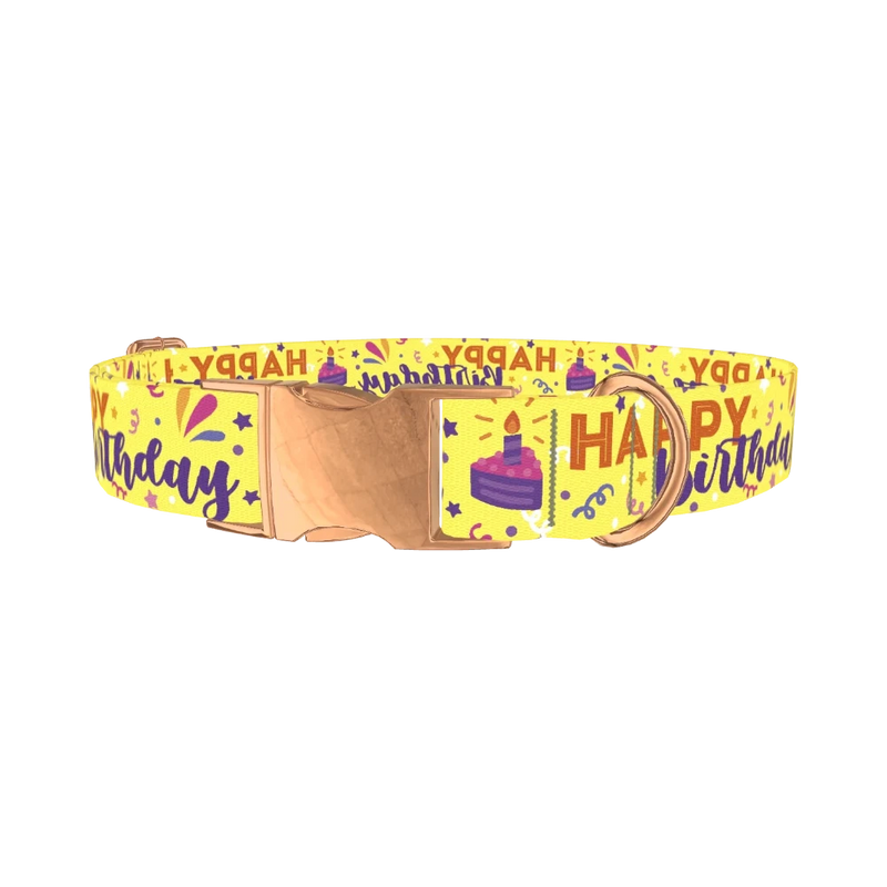 Birthday Cake Dog Collar - metal rose gold