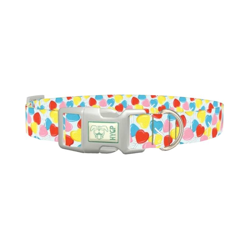 Candy Heart Dog Collar - plastic silver