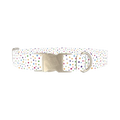 Colorful Polka Dot Dog Collar - metal silver