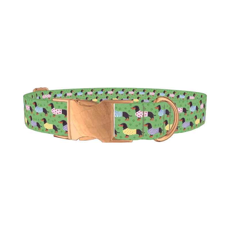 Green Dachshund Sweater Dog Collar - metal rose gold