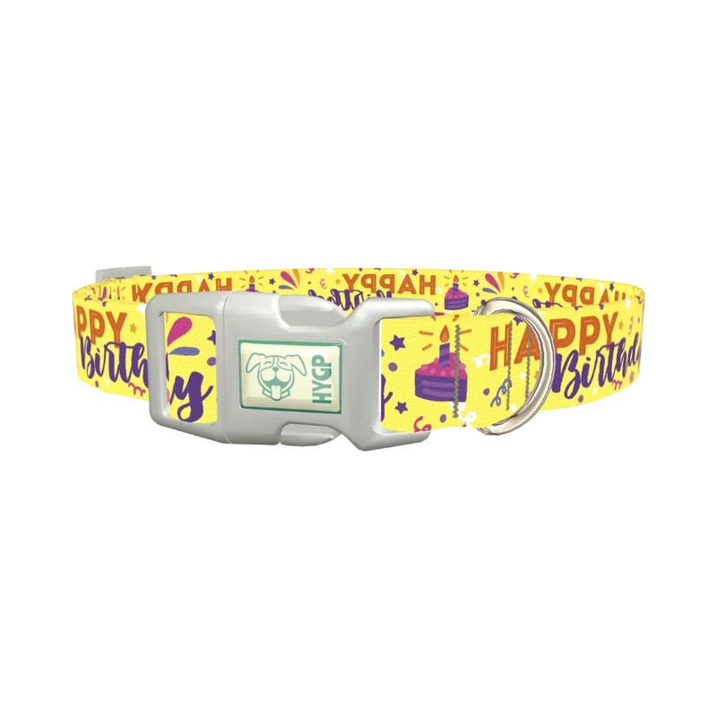 Birthday Cake Dog Collar - plastic silver