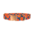 Orange Fruit Dog Collar - metal rose gold